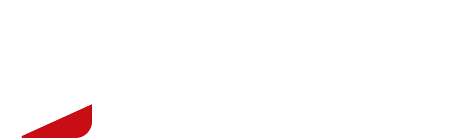 logo light